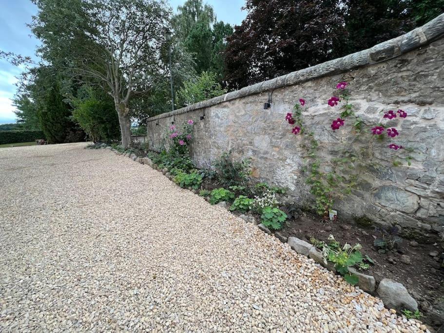 Quaint Self Contained Cottage Near Edinburgh. Loanhead Exteriör bild